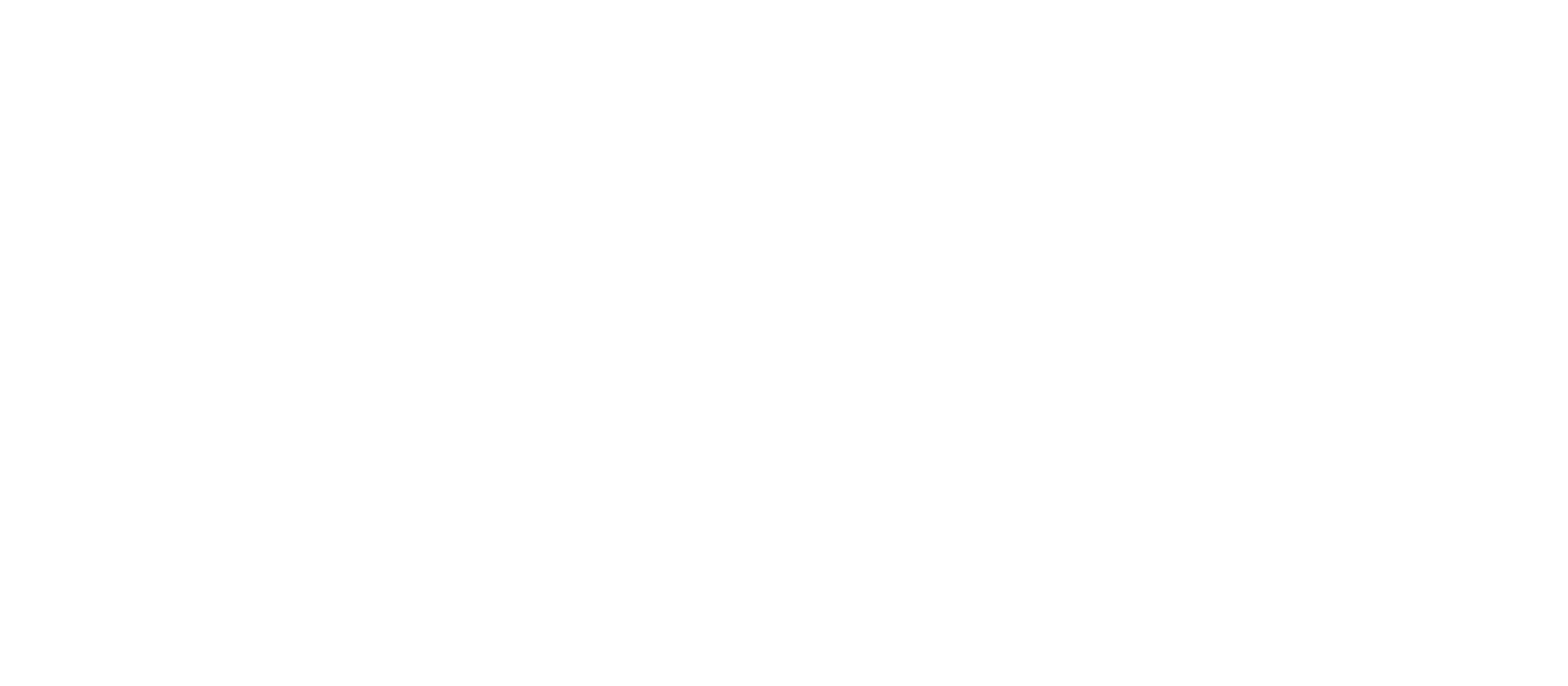 Homely logo branco